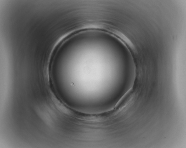 X0000113560980200909251055
