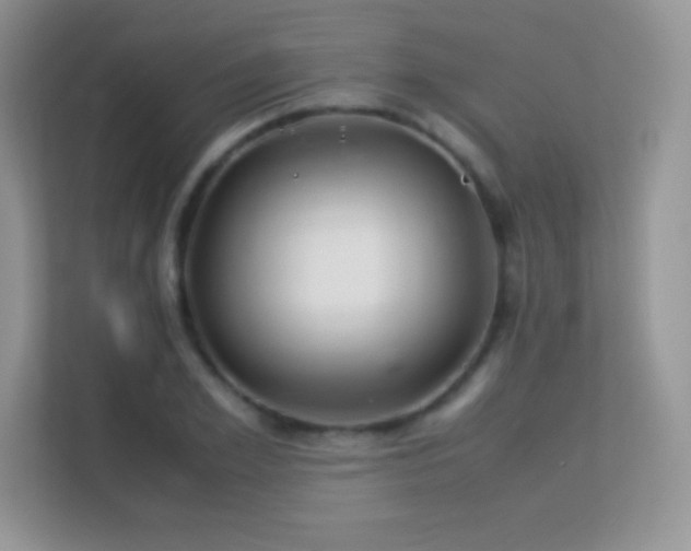 X0000113560981200909251055