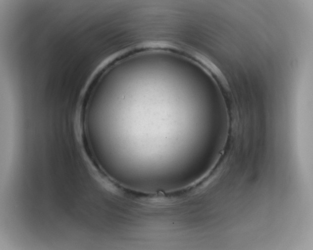 X0000113560984200909251055