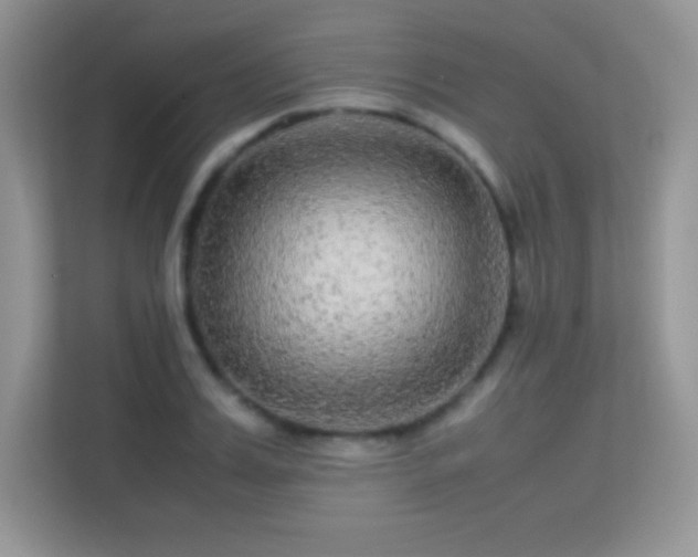 X0000113560987200909251055