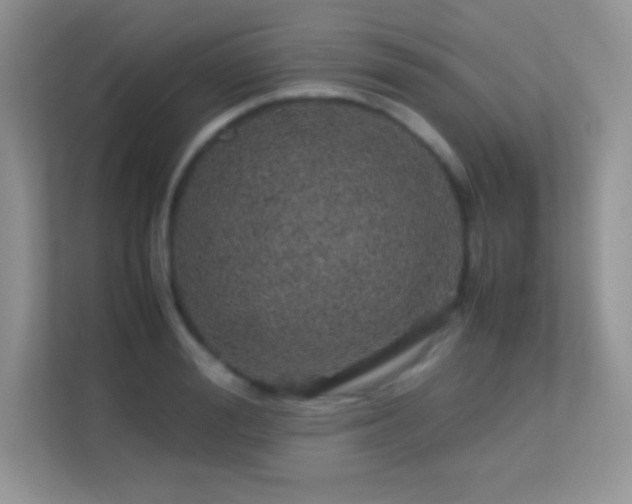 X0000113560988200909251055