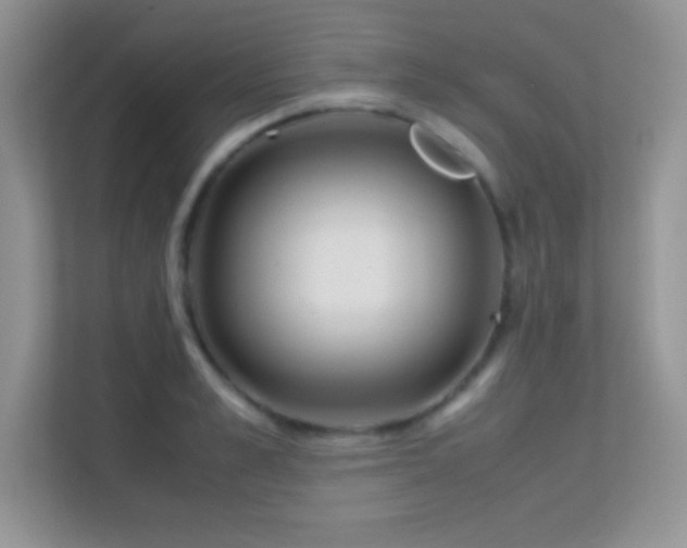 X0000113560989200909251055