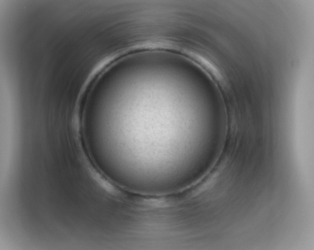 X0000113560990200909251055