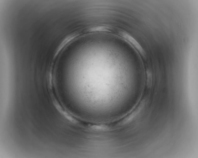 X0000113560994200909251055