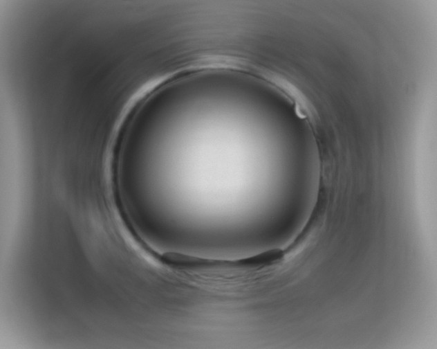X0000113560995200909251055