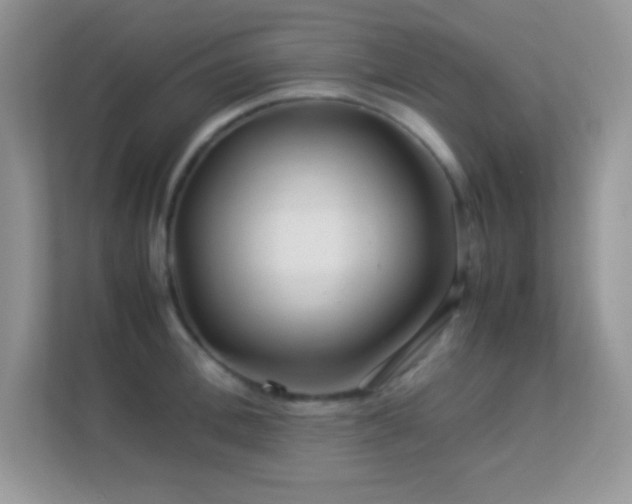 X0000113560996200909251055