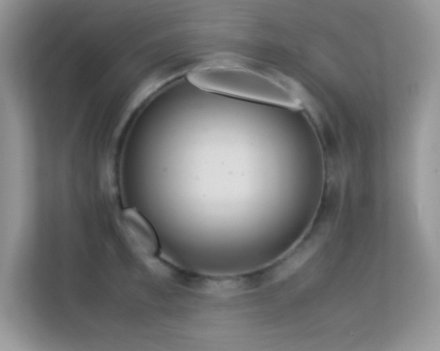 X0000113560997200909251054