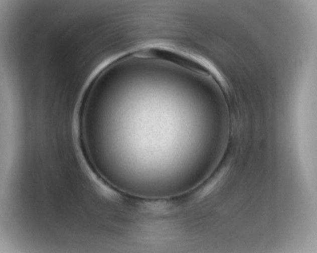 X0000113560999200909251054