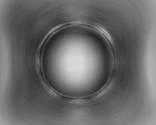 X0000113561000200909251054