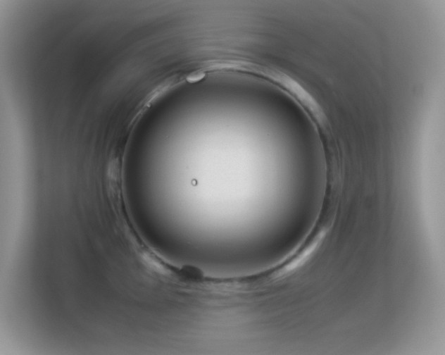 X0000113561001200909251054