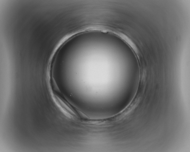 X0000113561005200909251054