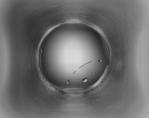 X0000113561008200909251054
