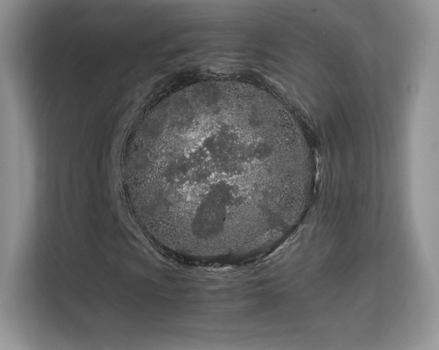 X0000113561009200909251054