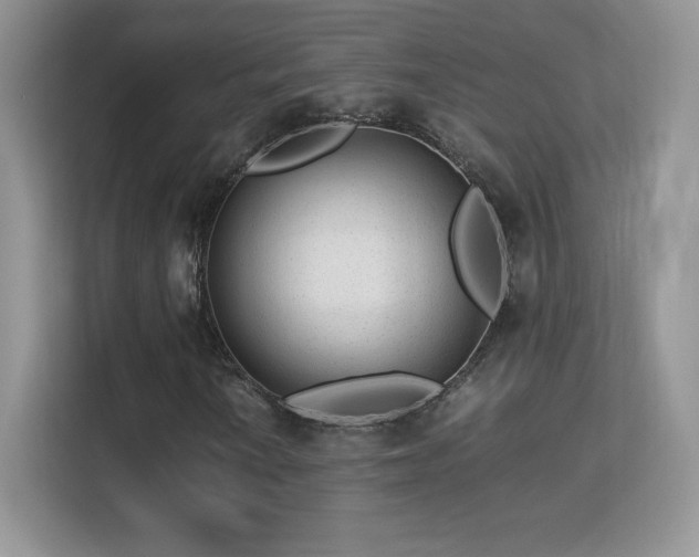 X0000113561010200909251054