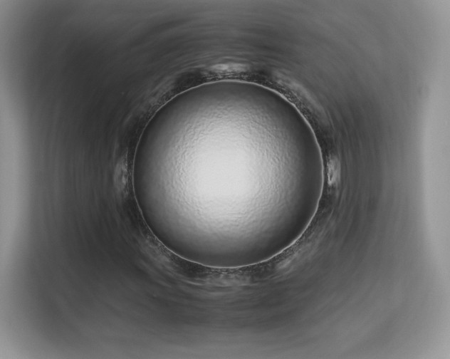 X0000113561011200909251054