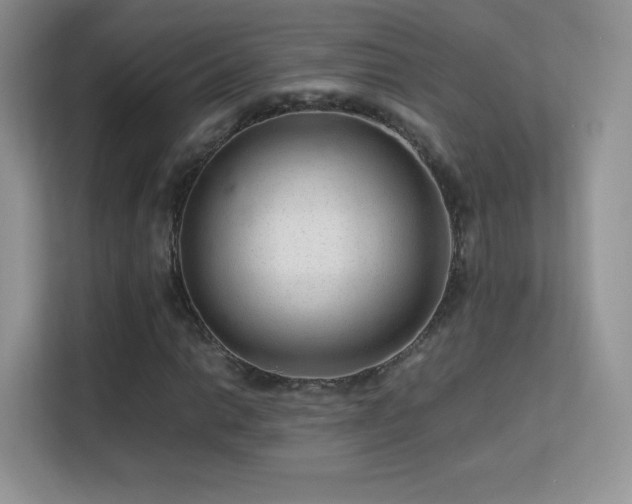 X0000113561014200909251054