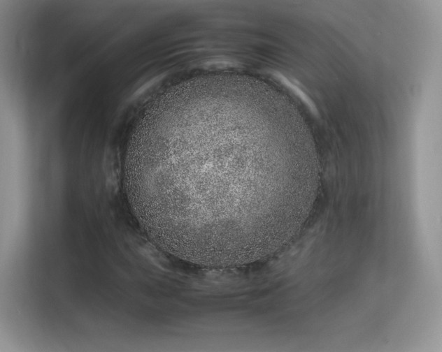 X0000113561015200909251054