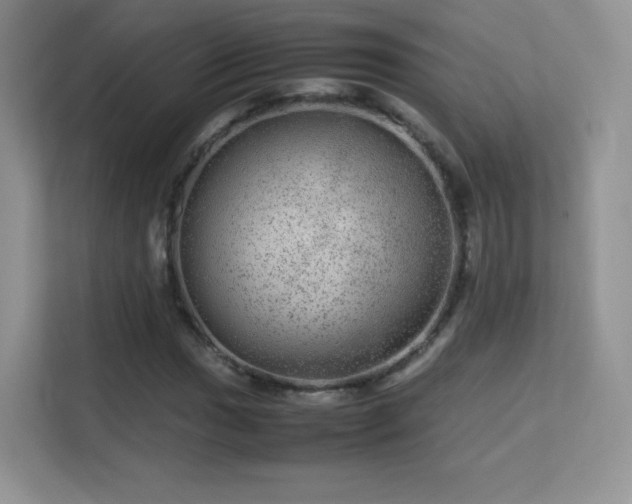 X0000113561017200909251054