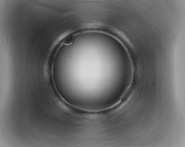 X0000113561018200909251054