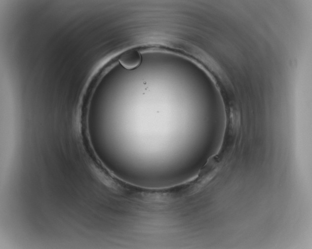 X0000113561020200909251054