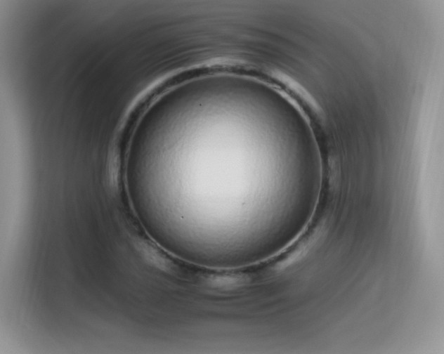 X0000113561021200909251054