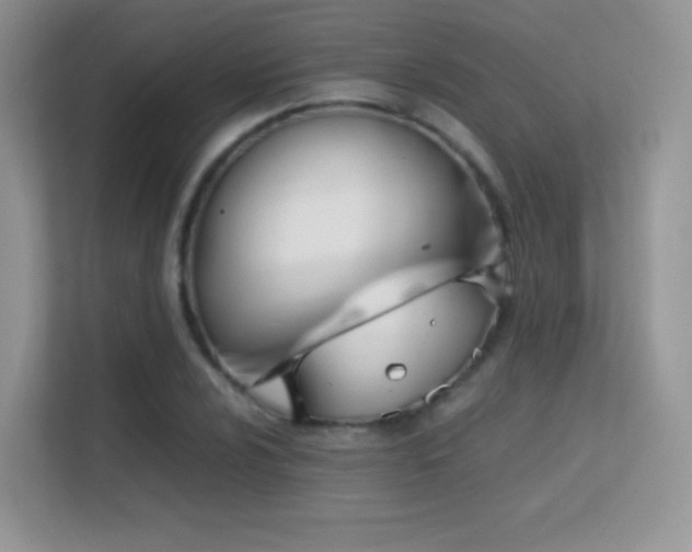 X0000113561024200909251054
