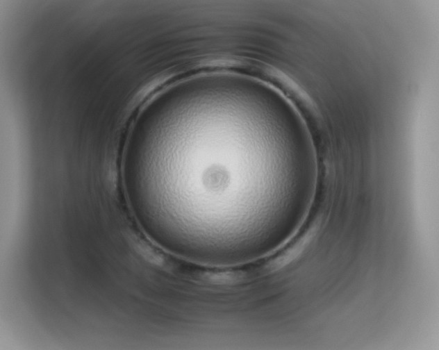 X0000113561025200909251054