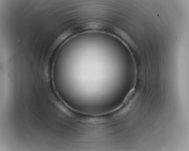 X0000113561026200909251054