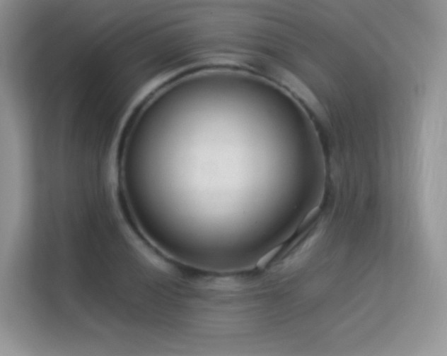 X0000113561028200909251054