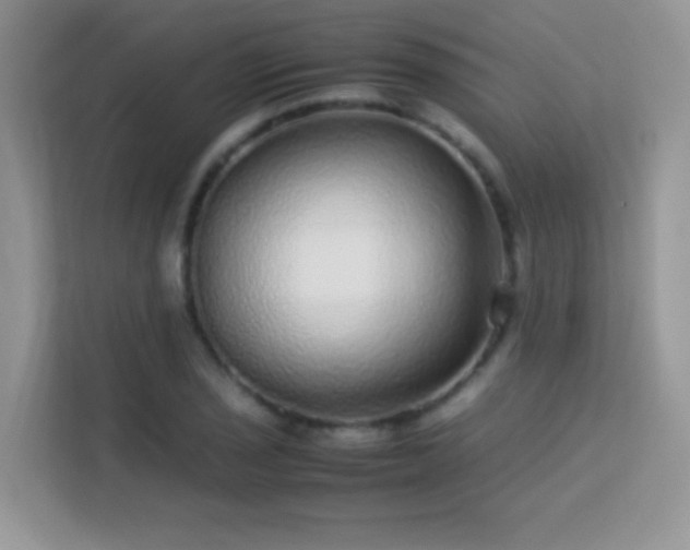 X0000113561029200909251054