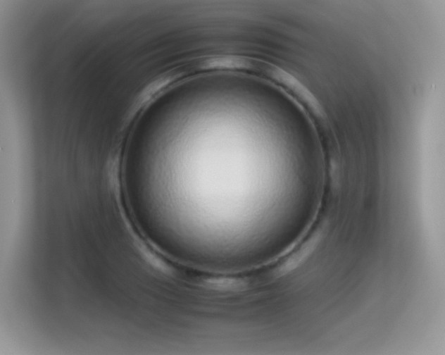 X0000113561033200909251054