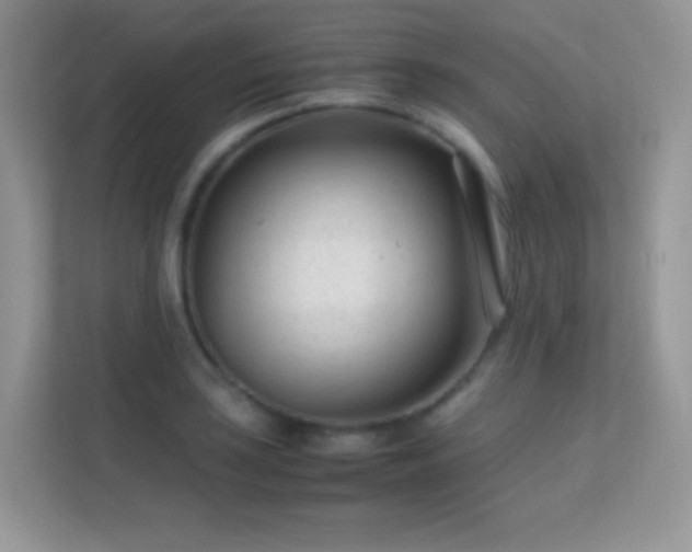 X0000113561035200909251054
