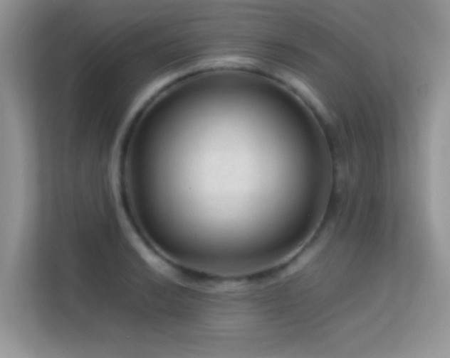 X0000113561038200909251054