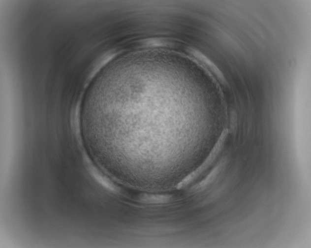 X0000113561039200909251054