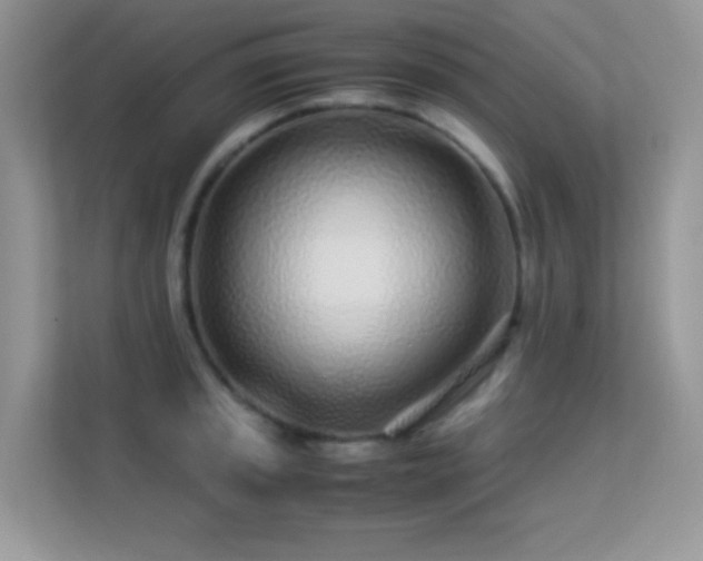 X0000113561045200909251054