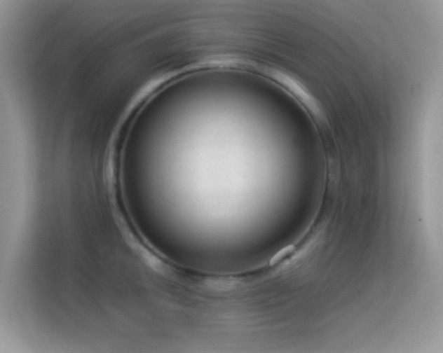 X0000113561046200909251054