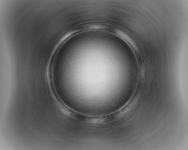 X0000113561047200909251054
