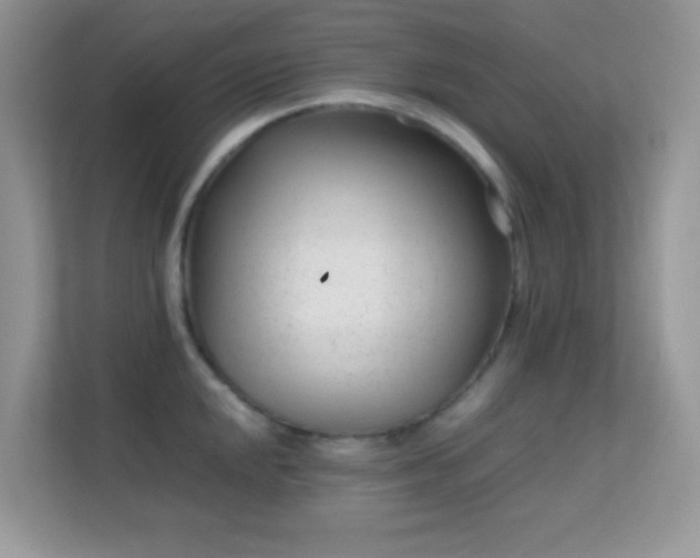 X0000113561048200909251054