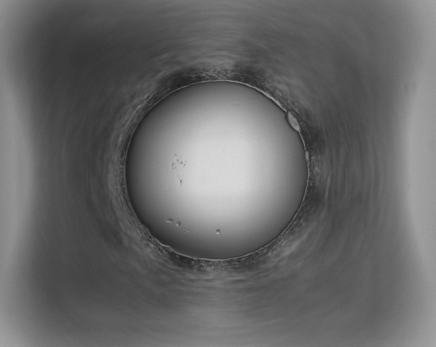 X0000113561057200909251054