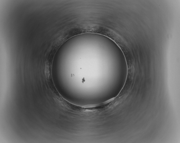 X0000113561058200909251054