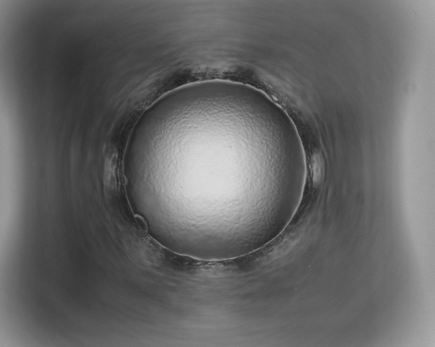 X0000113561059200909251054