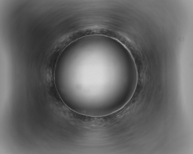 X0000113561062200909251054