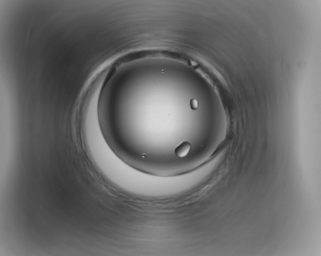 X0000113561069200909251054