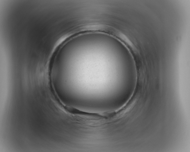 X0000113561071200909251054