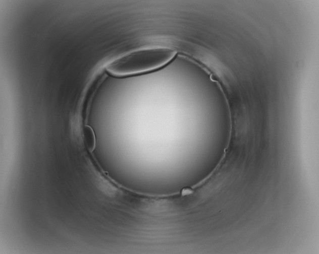 X0000113561072200909251054