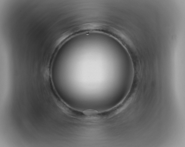 X0000113561073200909251054