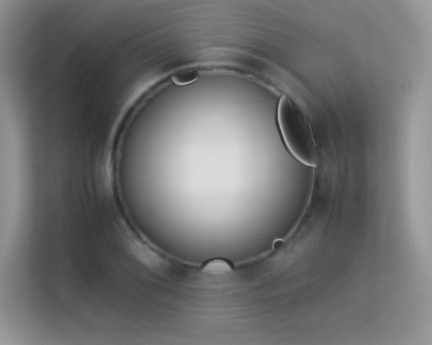 X0000113561076200909251053
