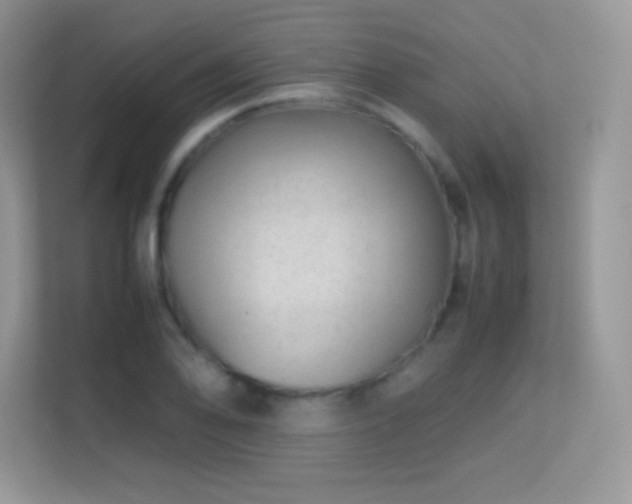 X0000113561078200909251053