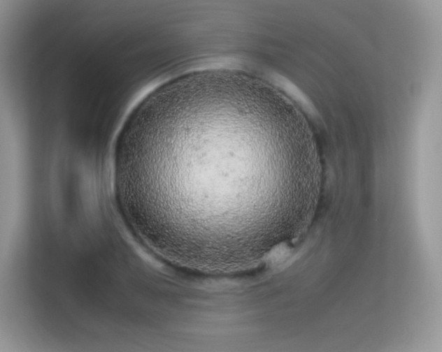 X0000113561079200909251053