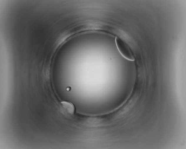 X0000113561081200909251053